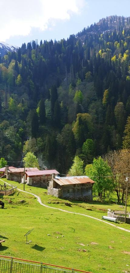 Ayder Vesile Otel Bagian luar foto