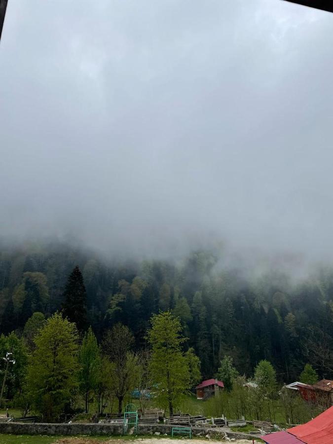 Ayder Vesile Otel Bagian luar foto